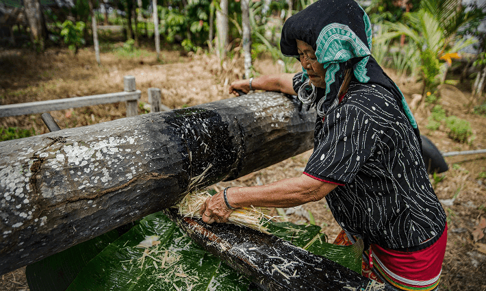 Hasil Hutan Mahakam